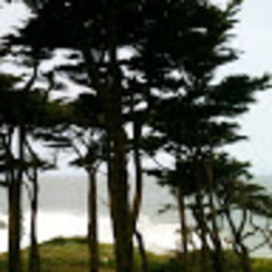 Meet your Posher, Mallarie